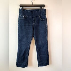 Jag Jeans pull on jeans size 8P‎